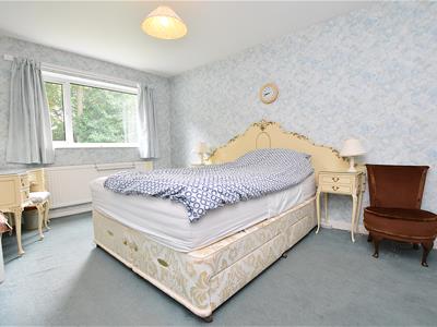 Picture 10